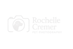 rochelle.junowebstudio.com